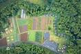 【泊まる、採る、ととのう、味わう】8月31日「野菜の日」、農園リゾートTHE FARMが“野菜尽くし”の4企画を実施｜千葉・香取