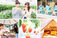【3月平日限定・学生さん応援】いちご狩り無料&野菜収穫体験、温泉、サウナ、豪華BBQ&農園野菜ビュッフェをモリモリで楽しめちゃうおトクプランが農園リゾートTHE FARMから登場