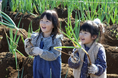 【3月平日限定】幼児宿泊無料キャンペーン「ちびっこ応援プラン」を販売開始。この春、家族旅行は農園リゾートTHE FARMへ