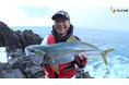マダイにヒラマサ！今人気の“カゴ釣り”の秘密に迫る！！