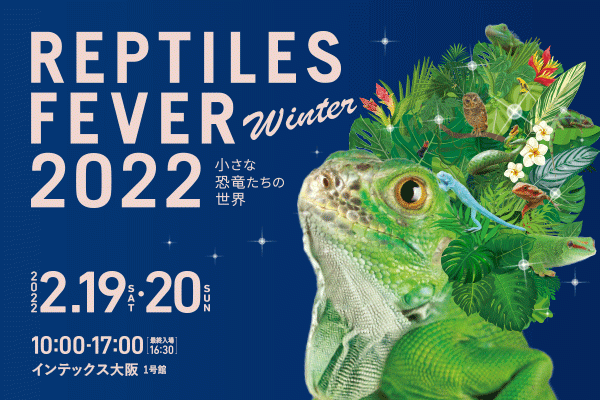 今大人気の爬虫類が大阪に集結 レプタイルズフィーバーwinter22開催決定 テレビ大阪株式会社のプレスリリース