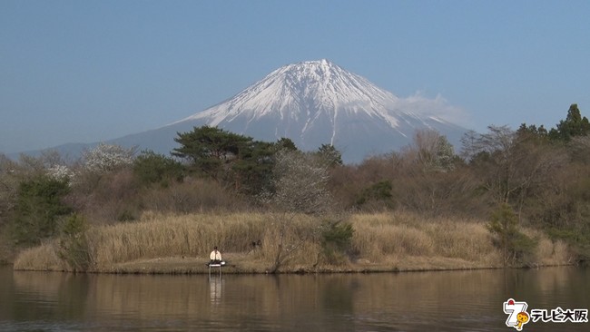 桜に富士山 絶好のロケーションで春のへらぶな釣り 時事ドットコム