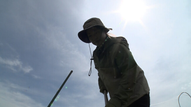 (C)テレビ大阪 (C)テレビ大阪