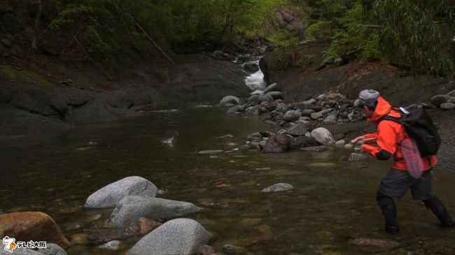 山梨県の桂川水系