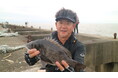 大阪湾で開催のチヌ（クロダイ）釣り大会に名手・大田徹が参加！悪条件の中でも釣り上げる㊙テクニックを紹介！