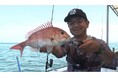 人呼んで「マダイの天敵!」明石海峡で真鯛釣りの名人が新たな挑戦!大物を連発⁉『フィッシングDAYS』9月14日(土)放送!