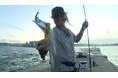 淡路島の堤防でビックリするほどタチウオが釣れる!「大阪湾のレジェンド」が必勝テクニックを披露!!『フィッシングDAYS』10月19日(土)放送!