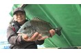 ダンゴ釣りで爆釣 静岡清水港 チヌかかり釣り『フィッシングDAYS』11月9日(土)放送!