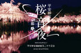 春の京都・桜の名所「平安神宮」を舞台に開催される夜桜と音楽の夢の共演「平安神宮　桜音夜2026」