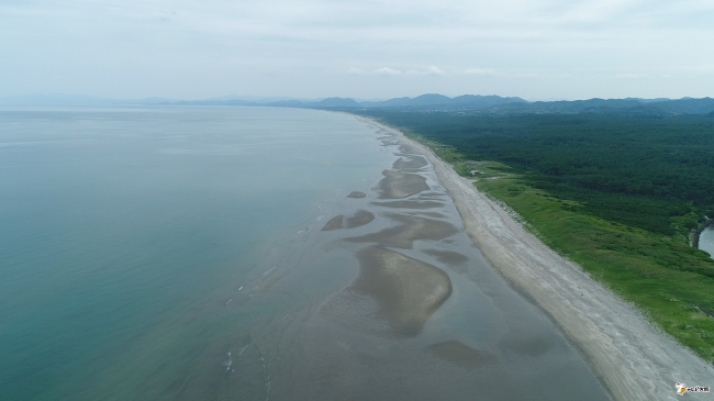 鹿児島県吹上浜