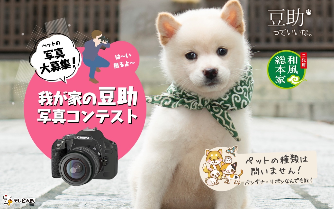 我が家の豆助写真コンテスト 入賞作品は来年発売予定の 二十三代目 我が家の豆助写真コンテスト 入賞作品は来年発売予定の 二十三代目