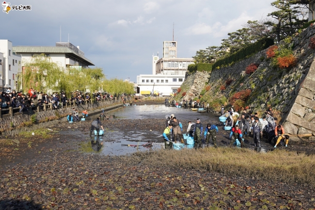 大阪 岸和田城 のお堀で 緊急sos 池の水ぜんぶ抜く 大作戦 出てくるのは大阪ならではのあの 12月22日 日 テレビ大阪で放送 テレビ大阪株式会社のプレスリリース