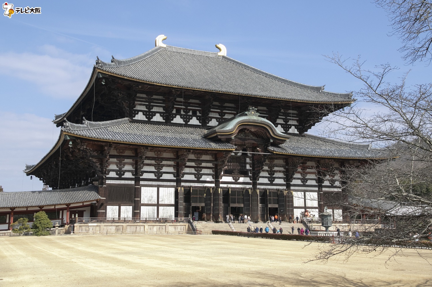 奈良 東大寺 の池で 緊急sos 池の水ぜんぶ抜く大作戦 参戦した間宮祥太朗が圧巻の大活躍 2月23日 日 テレビ大阪で放送 テレビ大阪株式会社のプレスリリース