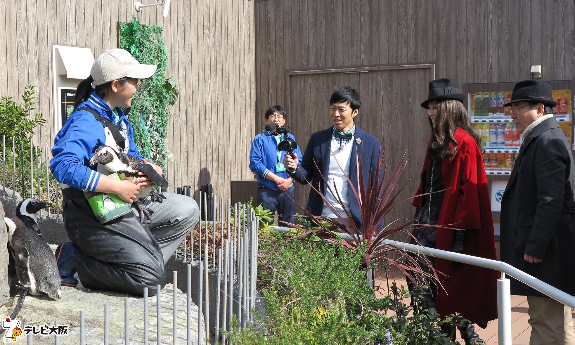 3月１９日 二代目和風総本家 は最終回 でもその前に 今夜５日は夜７時５８分から２時間sp 普段見ることのできない東京の裏側に潜入します テレビ大阪株式会社のプレスリリース