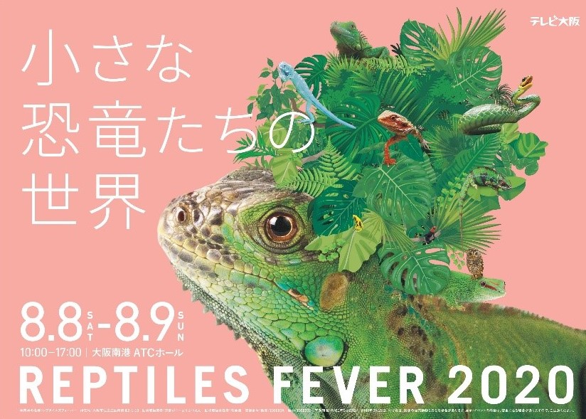 8月開催 レプタイルズフィーバー2020 テレビ大阪株式会社のプレスリリース 8月開催 レプタイルズフィーバー2020 テレビ大阪株式会社のプレスリリース