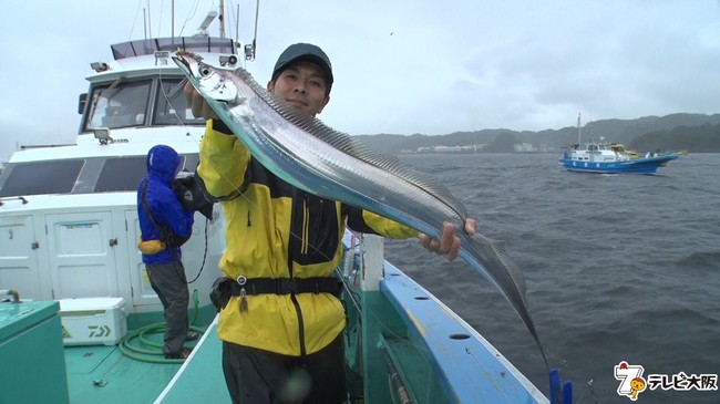 女子高生釣りガール絶好調 ドラゴンサイズのタチウオ ゲットなるか テレビ大阪株式会社のプレスリリース