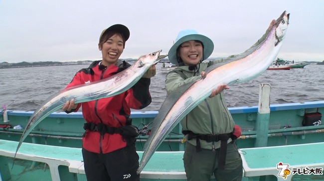 女子高生釣りガール絶好調 ドラゴンサイズのタチウオ ゲットなるか テレビ大阪株式会社のプレスリリース