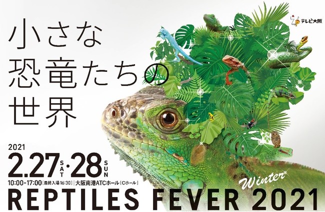 爬虫類 イベント 大阪