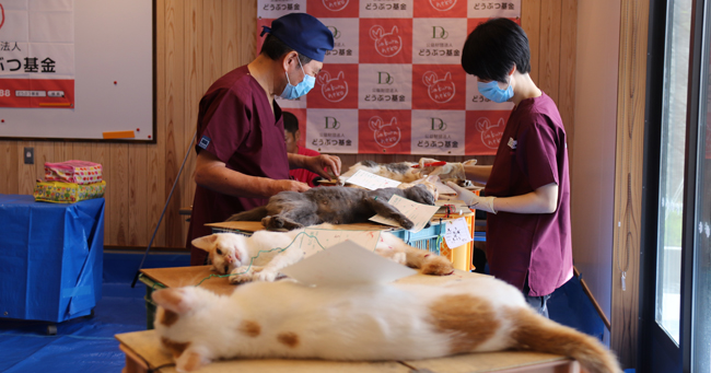 センター 愛護 津 動物 市