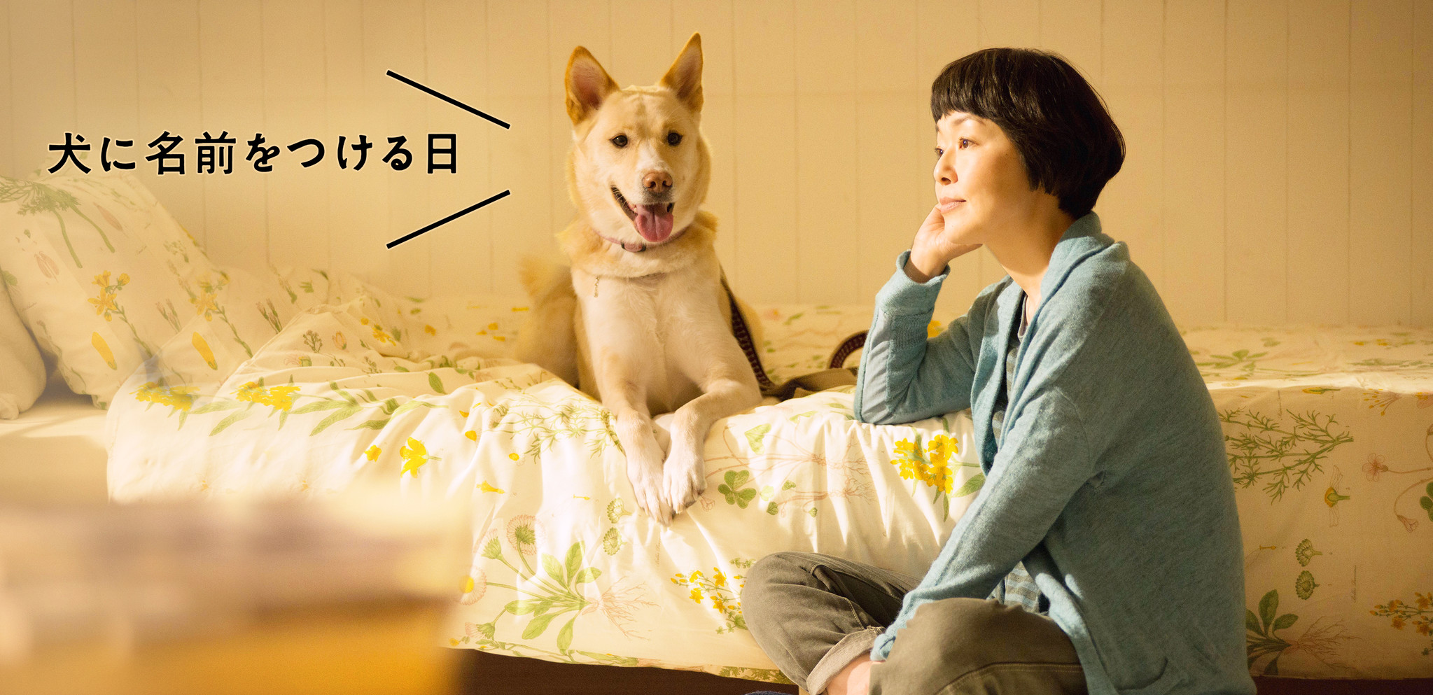 Dvdベストセラー１位 映画 犬に名前をつける日 小林聡美主演 Dvd発売記念イベント開催 株式会社 スモールホープベイプロダクションのプレスリリース