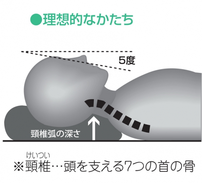 理想的な寝姿勢（仰向け）