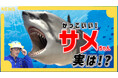 さかなクンと一緒にサメの魅力を再発見！「素材市場」YouTubeコラボ動画、7月28日(火)公開