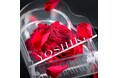 YOSHIKIの“世界一豪華なディナーショー”のテーブルフラワーが初の商品化!YOSHIKI OFFICIAL STORE史上初となる世界同時受注販売決定