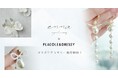 【初コラボレーション解禁】emma × PLACOLE&DRESSY 初コラボアクセサリー発売決定！
