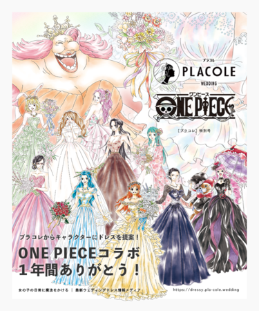 1年間ありがとう 大人気アニメ One Piece ワンピース とプラコレのコラボドレス 企画 12キャラクター全員集合 325 サニー号 名様にクリアファイルをプレゼント 冒険社プラコレのプレスリリース