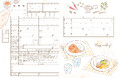 【ダウンロード無料】PLACOLE&DRESSYオリジナル 『プラコレ婚姻届』に新デザインの婚姻届に11月の新デザインが登場!