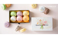 【新発売】PLACOLE&DRESSYプロデュース「DRESSY CAFE」より『お花とドレスのジュレマカロン』ギフトが新登場!