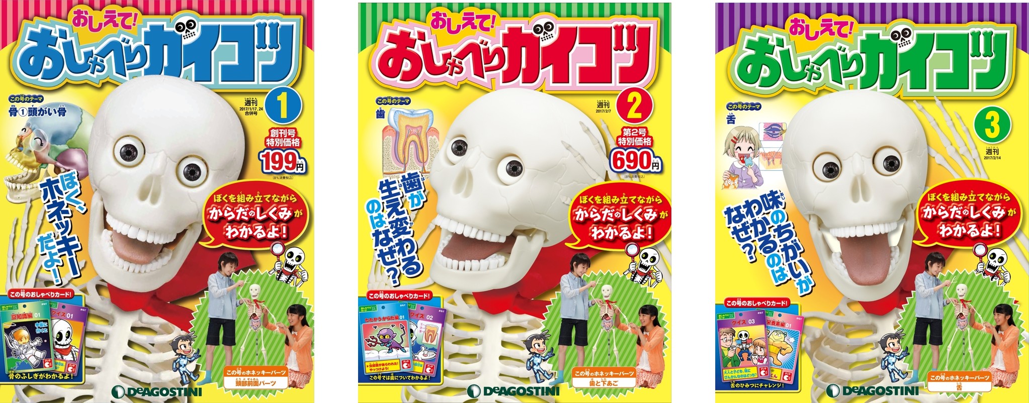 絶品】 デアゴスティーニ おしえて！おしゃべりがいこつ1～70 模型製作