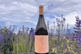 NIKI Hills Winery、最新ヴィンテージワインを7/1にリリース