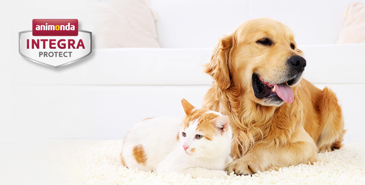 イヌ ネコ用の療法食 インテグラプロテクト シリーズがリニューアル ジャーマンペット株式会社のプレスリリース