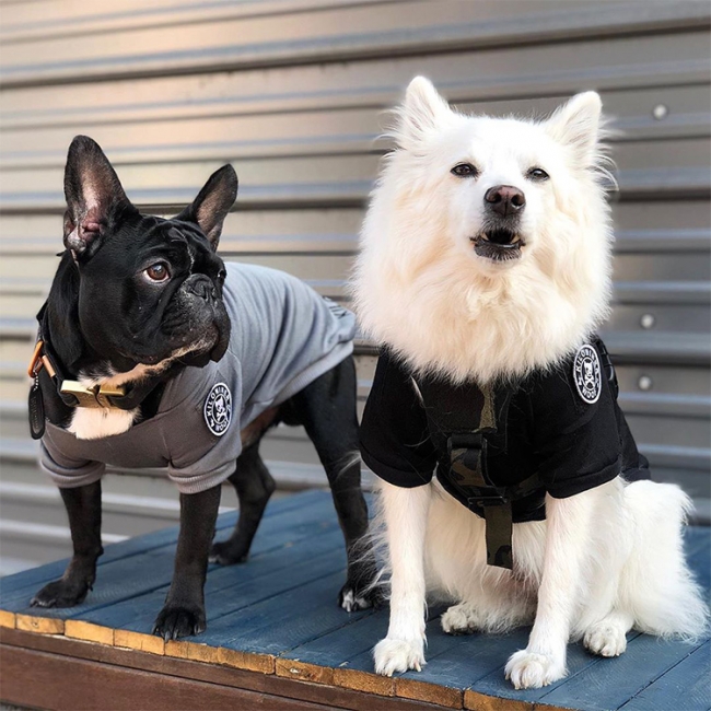 Kiloniner ハーネスに合わせて暖かく おしゃれにスタイリングできる愛犬 愛猫用フーディー H1 Tactical Pull Over Hoodie Mini Patch 販売開始 ハップルのプレスリリース