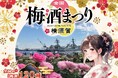 全国の酒蔵から120種以上の梅酒が神奈川に集結！「全国梅酒まつりin横須賀2026」ヴェルニー公園で開催！