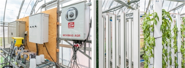 MOVIMAS AGR IoT自動化制御システムと縦型水耕栽培