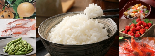 米を始めとした多彩な農水畜産物がある新潟市