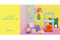 2025 Spring Collectionを1月24日(金)より展開