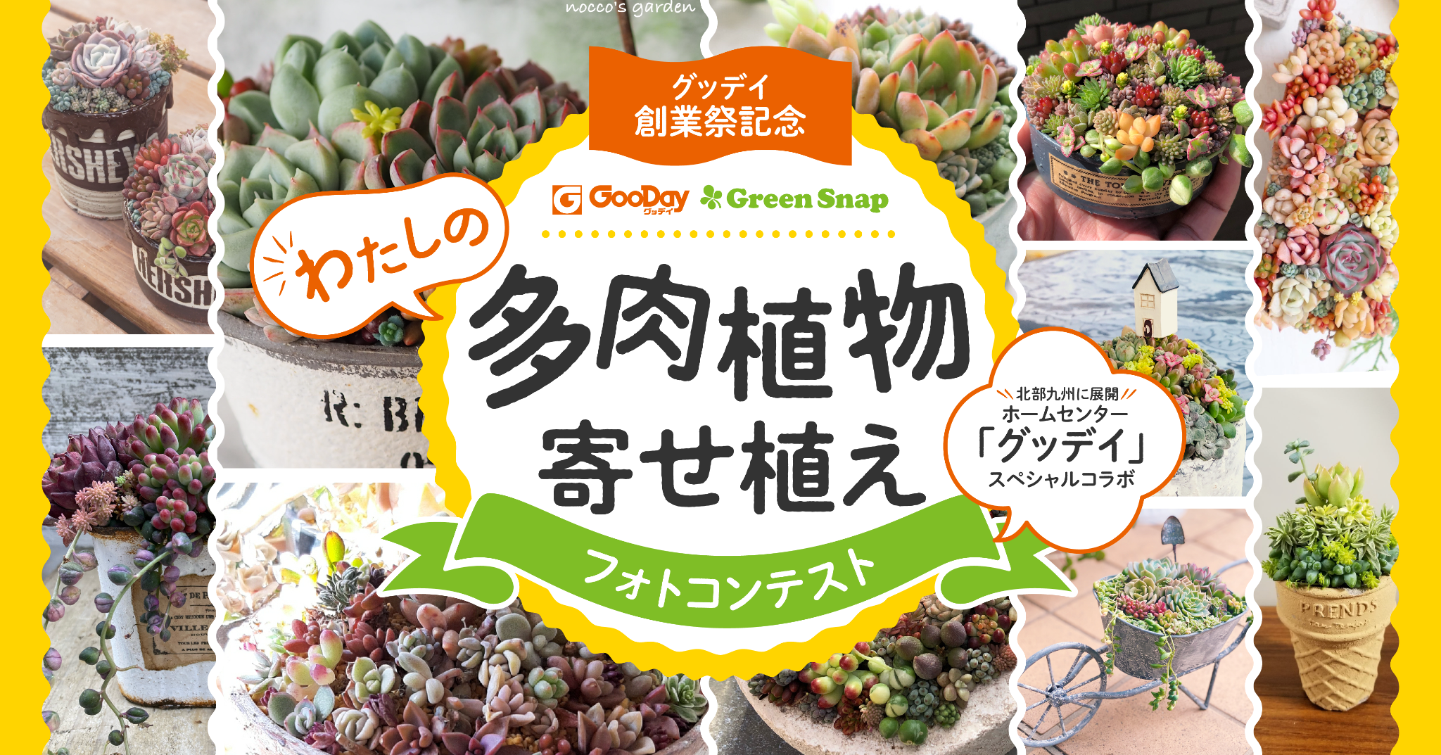 ホームセンターグッデイ Greensnap 初のコラボレーションイベントにより売上アップを実現 嘉穂無線ホールディングス株式会社のプレスリリース