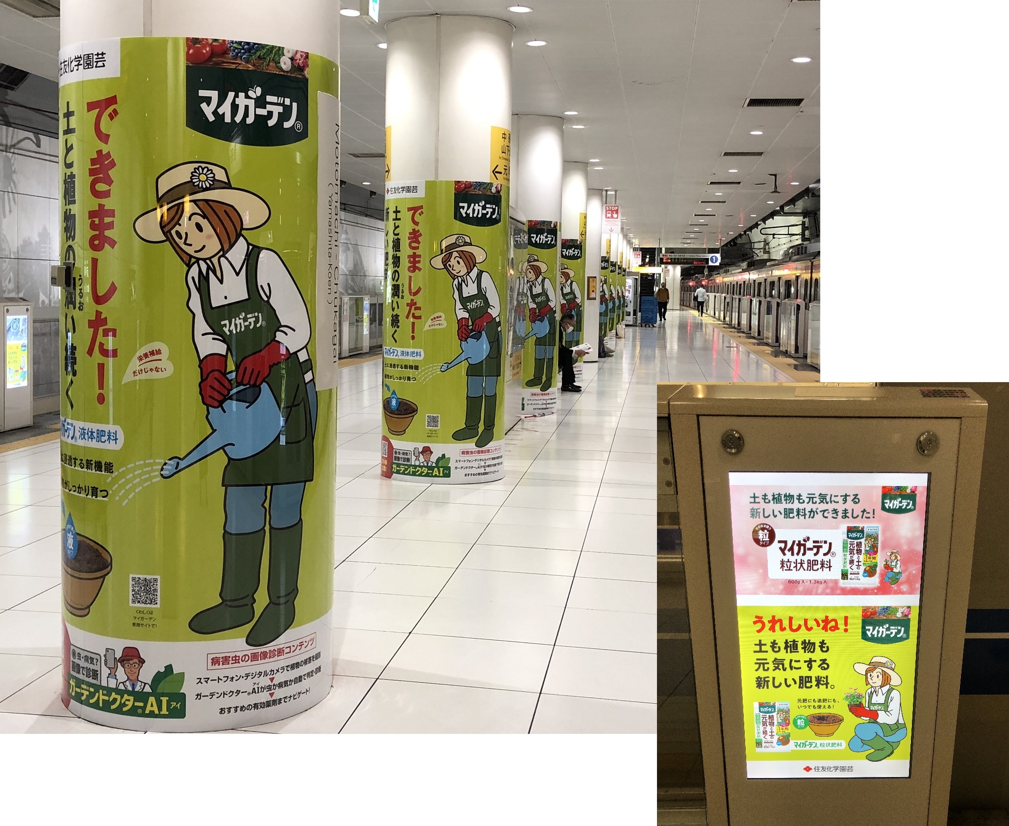 家庭園芸用肥料 マイガーデン 広告が元町 中華街駅でお出迎え これから始まる園芸シーズンと横浜の春をマイガーデンが応援します 住友化学園芸株式会社のプレスリリース