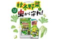 KINCHO園芸、秋冬野菜を害虫から守る「葉・実を食べる虫退治粒剤 家庭園芸用GFオルトラン粒剤」を8月初旬より発売