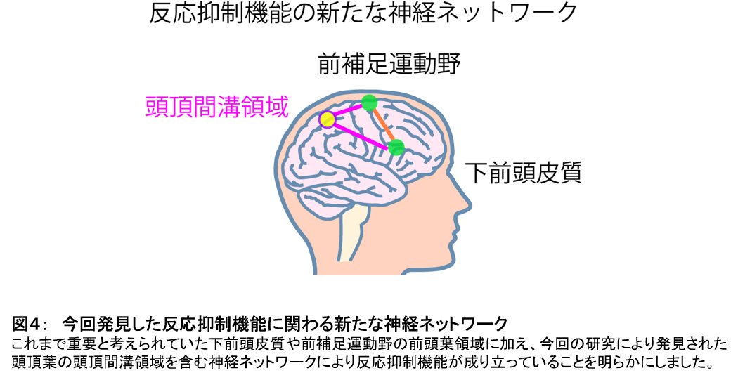 自分を律する脳の仕組みに関わる新たな部位を発見 学校法人 順天堂のプレスリリース