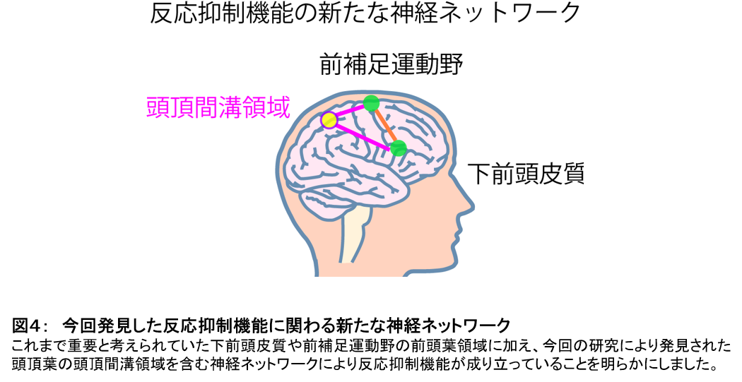 自分を律する脳の仕組みに関わる新たな部位を発見 学校法人 順天堂のプレスリリース