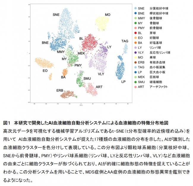 図１　本研究で開発したAI血液細胞自動分析システムによる血液細胞の特徴分布地図