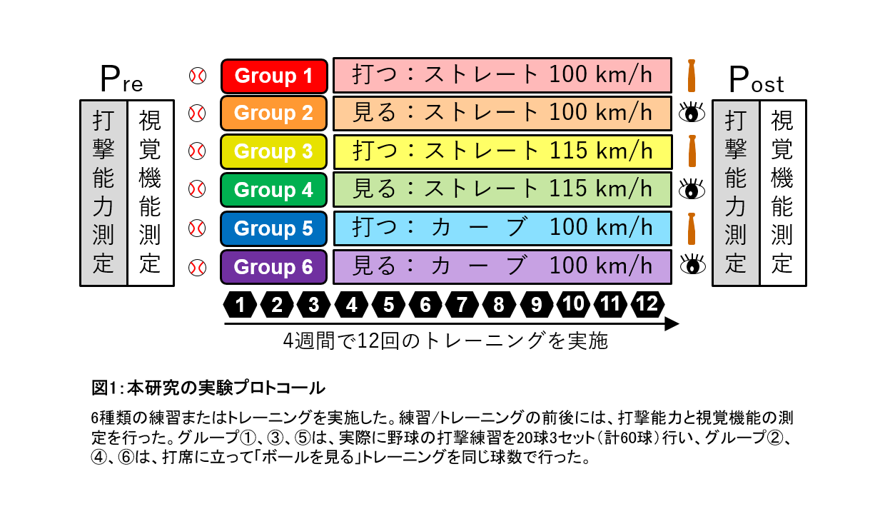 野球における打撃練習と視覚的なトレーニングの効果を検証 学校法人 順天堂のプレスリリース