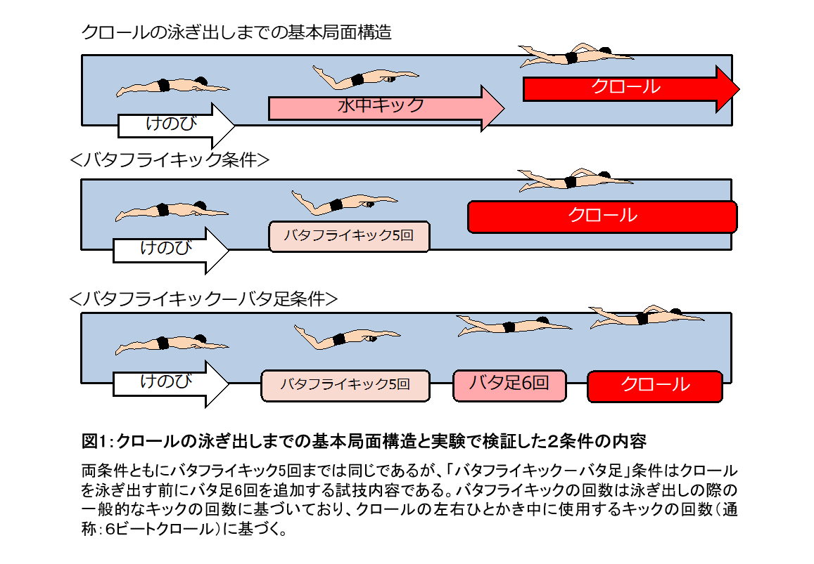 クロールでの泳ぎ出し前のバタ足は大きな減速の原因に 学校法人 順天堂のプレスリリース