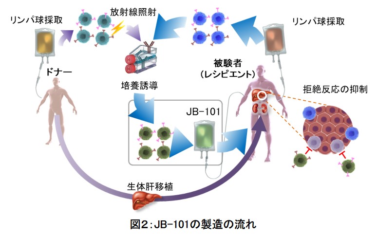 免疫抑制剤の要らない肝移植を普及させるための医師主導治験を開始 学校法人 順天堂のプレスリリース