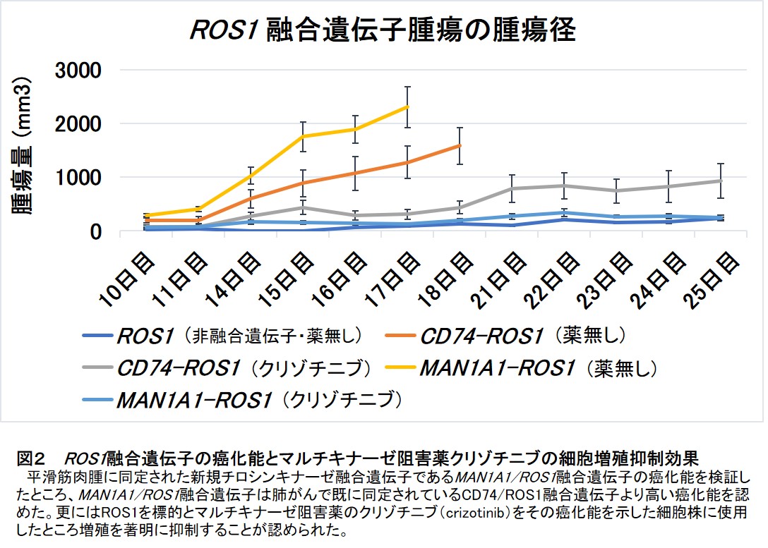 希少がん 平滑筋肉腫 の原因となる発がん因子を新たに発見 学校法人 順天堂のプレスリリース