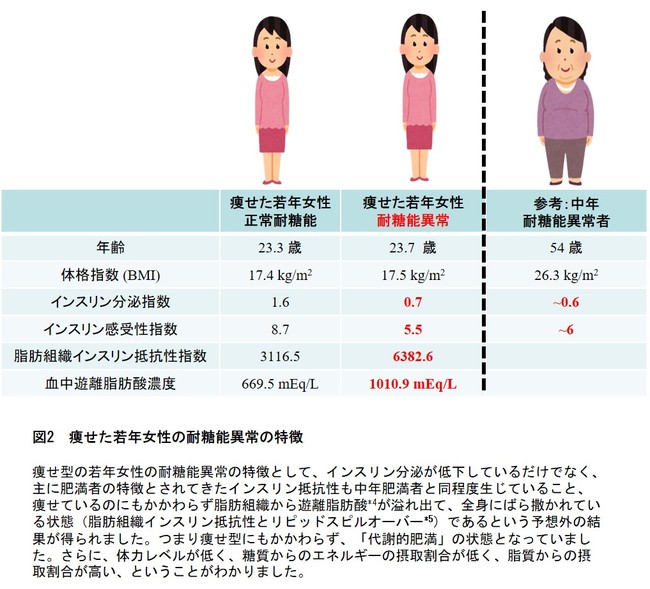 図2　痩せた若年女性の耐糖能異常の特徴